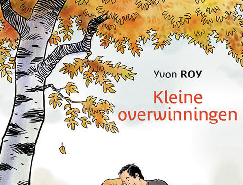 cover van Kleine Overwinningen