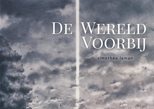 coverbeeld De wereld voorbij